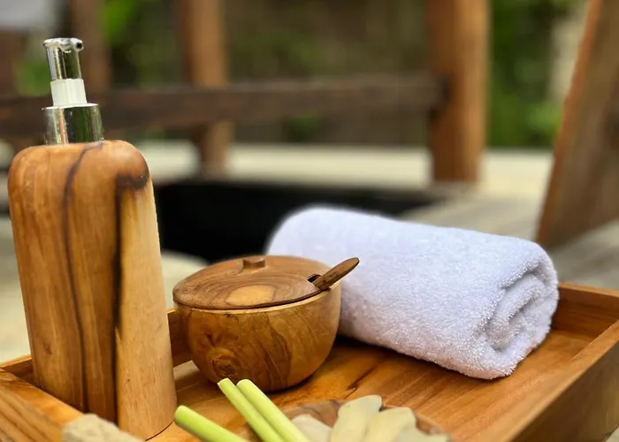 Elforest Ubud, Вилла Паянган
