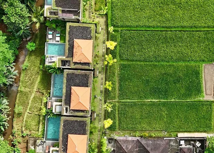 Elforest Ubud, Вилла Паянган