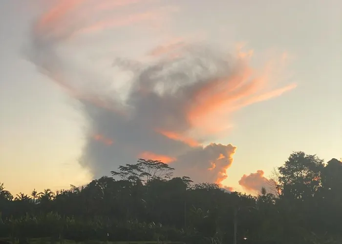 Вилла Elforest Ubud, *