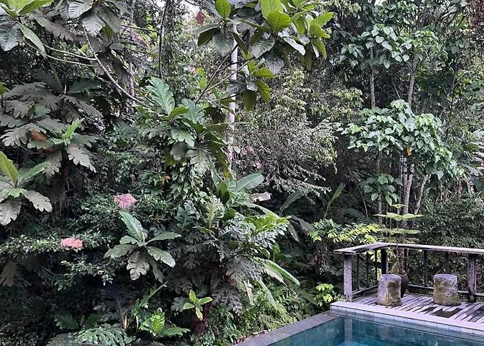 Elforest Ubud, Вилла Паянган
