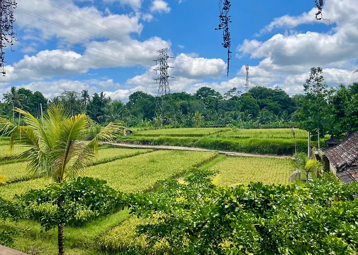 Elforest Ubud, Вилла Паянган