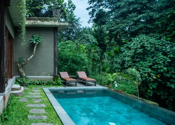 Elforest Ubud, * Паянган