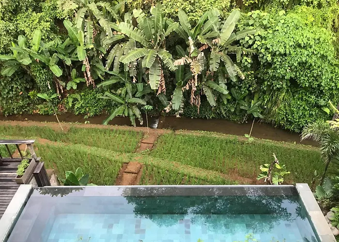 Вилла Elforest Ubud, Паянган